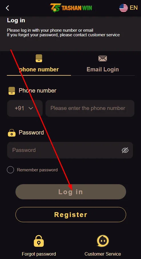 Click the Login button